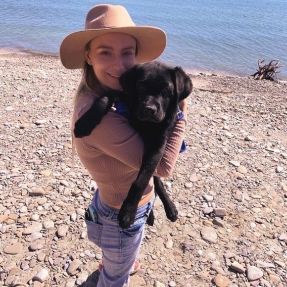 Meet your Posher, Sara - Picture 1 of 1